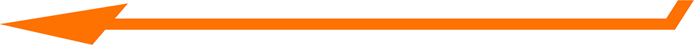 Moving Company San Ramon